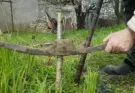 Корчеватель кустов и молодых деревьев: как расчистить участок без изнурительного ручного труда